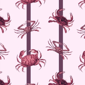 Vintage Mulberry Crabs on Pink Stripes (M)