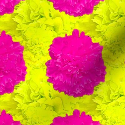 Pink Yellow Peonies Photography / Yellow Pink Peonies Photography - Medium Scale