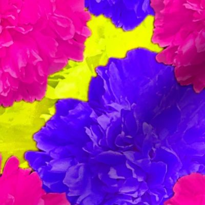 Pink Yellow Blue Peony Photography - Large Scale