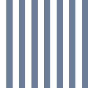 Cabana stripes - indigo and white