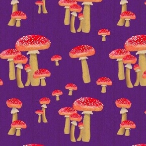 Red Mushrooms Fly Agaric Purple