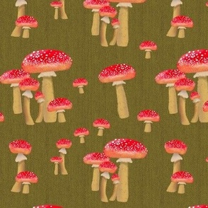 Red Mushrooms Fly Agaric Green