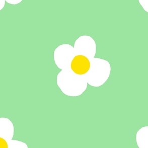 Lime_Daisies
