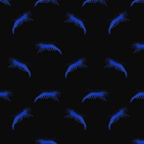 Blue Dream Shrimp on Black