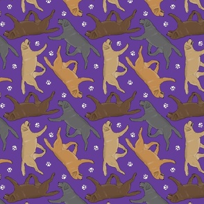Trotting Labrador Retrievers and paw prints - purple