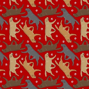 Trotting Labrador Retrievers and paw prints - red