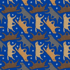 Trotting Labrador Retrievers and paw prints - blue
