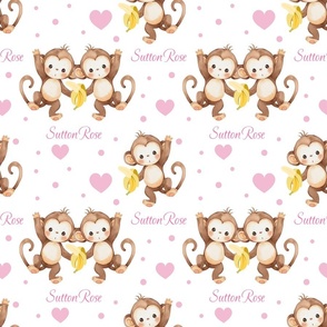Safari Animals Monkey Pink Baby Girl Nursery Personalized