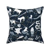 Constellations (White & Navy)