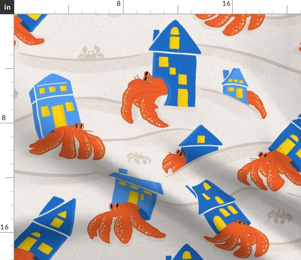 House-hunting Hermit Crabs