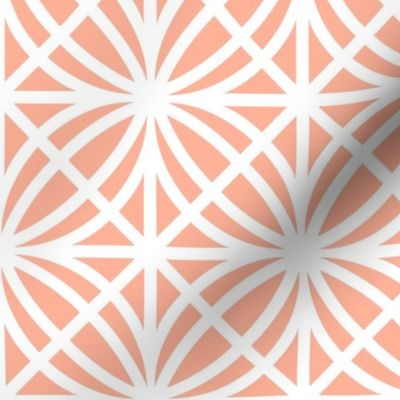 Orange Trellis Geometric in Apricot Orange and White - Medium - Palm Beach Lattice, Tropical Peach Geometric, Palm Springs Breeze Block