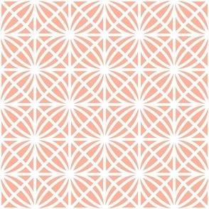 Orange Trellis Geometric in Apricot Orange and White - Medium - Palm Beach Lattice, Tropical Peach Geometric, Palm Springs Breeze Block