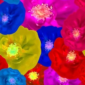 Brightly Colored Roses Photography Large Scale / Rose Photography / Rose Garden