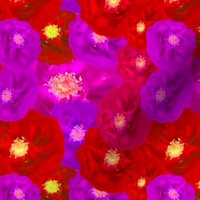 Rd Purple Roses Photography / Purple Red Roses Photography - SMALL Scale / Full of Floral 