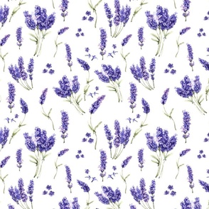 Small  A Fragant Watercolor Lavender Field, Lavender Fields Wallpaper