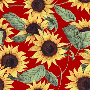 Sunflowers,summer,flowers,red background 