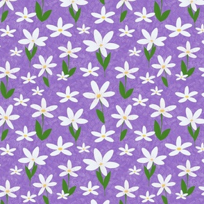 Jasmine Flowers - purple
