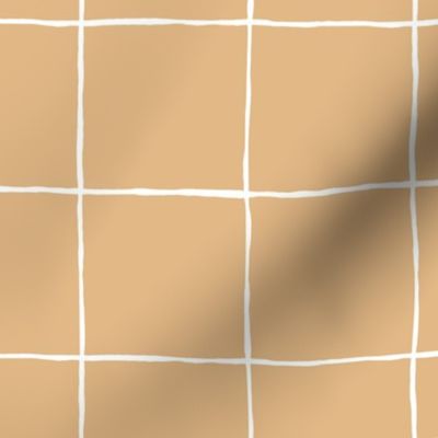 (small) simple wobbly hand drawn grid orange white