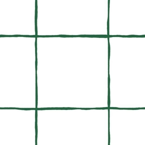 simple wobbly hand drawn grid emerald green white