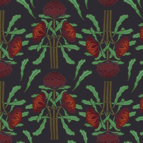 Dark red waratahs on dark gray (Art Nouveau) by Su_G_©SuSchaefer