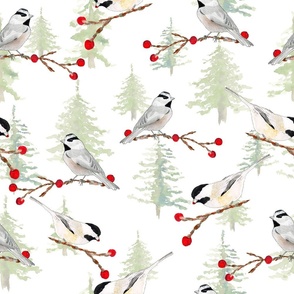 10-Chickadees-snow-pines
