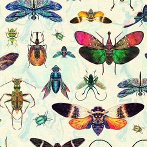 Shimmering beetles, cicadas and dragonflies on a marble background