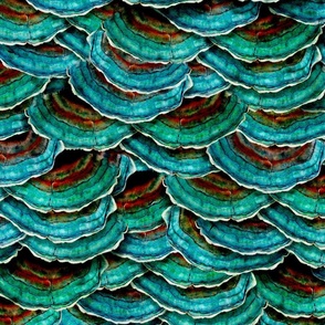 All over pattern of Turkey Tail Mushrooms in teal green and brown