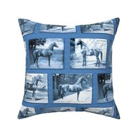 1907 Arabian and Half Arabian Horses in Blue