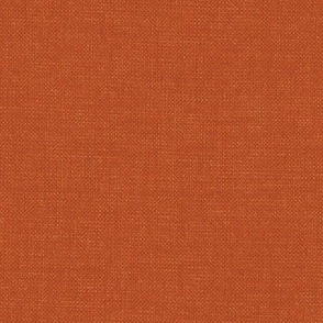 Textured Solid, rust orange {linen texture}