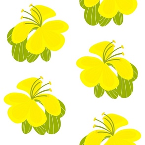 Tropical Hibiscus Flowers Bright Yellow