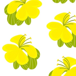 Tropical Hibiscus Flowers Bright Yellow Big