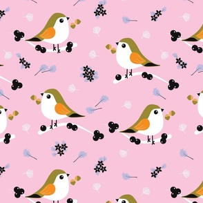 Winter Birds - Pink - Wildlife - Robin - Acorn - Nature - Ochre - Pigeon - Berries - Christmas - Winter