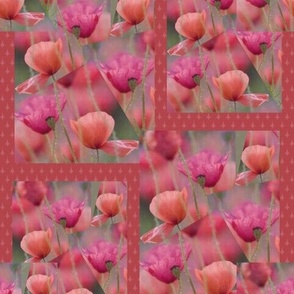 Poppy Flower Patterns 03