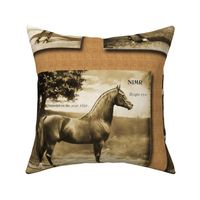 1907 Arabian and Half Arabian Horses in Sepia Large Scale