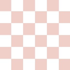 pink white check coordinate for Jesus loves me Bunny