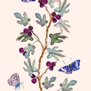 Eloise, Fig Branches and Butterflies, Pinkish