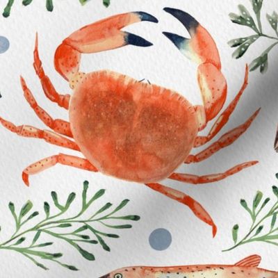 Hand-painted crustaceans, shrimps, fish and turtles Gouache & colored pencils