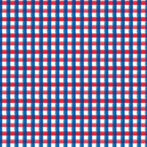 Checkered blue-red Patriotic USA 4th July Independence Day