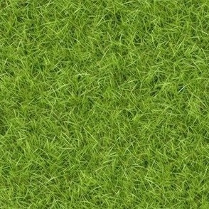 Green Grass Texture Pattern