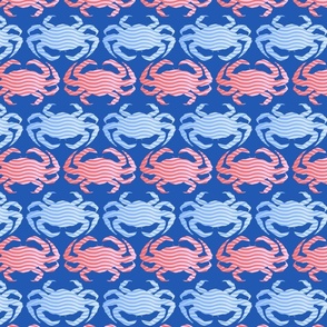 Red and Blue Stripes Crab