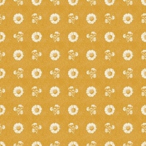 Cottage daisy in harvest gold. Extra small scale