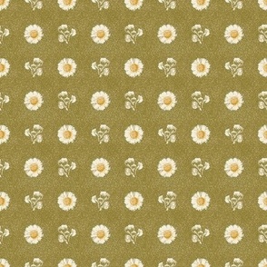 Cottage daisy in olive. Extra small scale