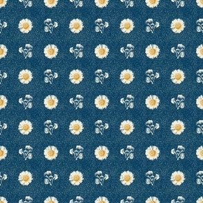 Cottage daisy in blue. Extra small scale