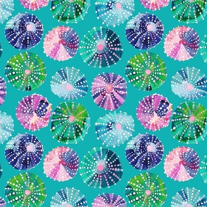 Urchin Utopia – on Lilly Teal