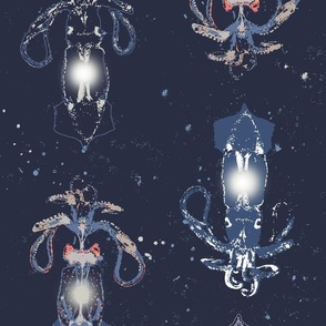 Deep sea lantern squids