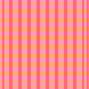 Colorful Gingham Checks Coordinate Tropical Summer Colors - Vibrant Coral Orange and Peach Pink