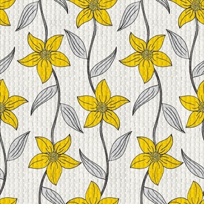 Narcissus Garden Gray Yellow