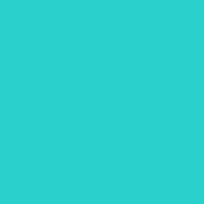 Tropical Bright Colors Teal