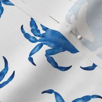 Coastal Crabs   ✦ Ocean Shellfish (blue/white scattered)