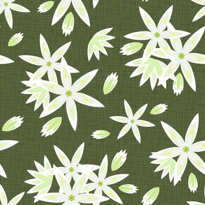 Star of Bethlehem white flower on textured moss green